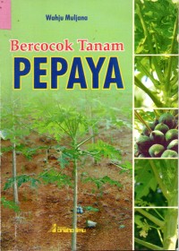 Image of Bercocok Tanam Pepaya