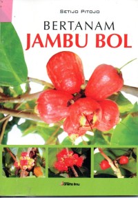 Image of Bertanam Jambu Bol